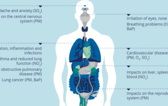 How Does Air Pollution Impact Respiratory Health
